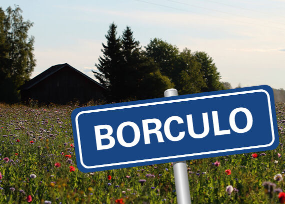 Winkelpagina | Borculo