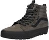 Sk8-Hi Waterproof - small