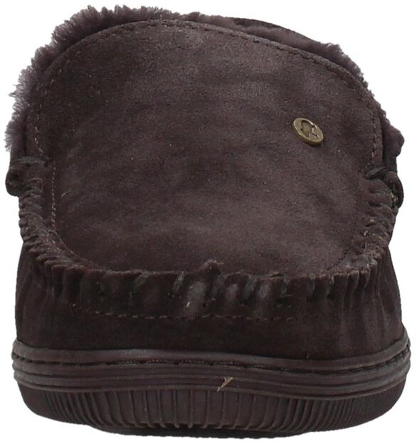 Grizzly - large