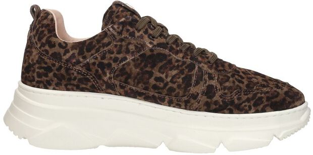 Sneakers Laag - large
