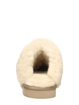 Collie