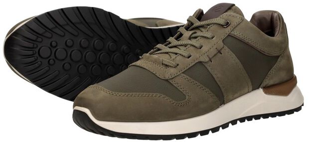 Astir Neo - large