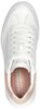 Cordova Classic - Best Behavior - small