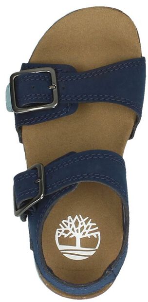 Castle Island 2 Strap - large