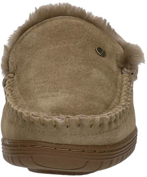 Grizzly - large