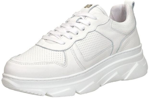 Sneakers Laag - large
