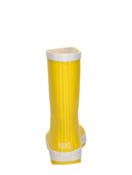 Regenlaarsjes