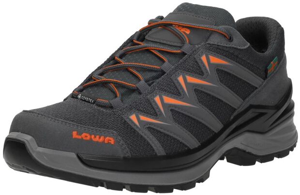 INNOX PRO 4DAAGSE GTX LO M - large