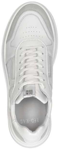 Sneakers Laag - large