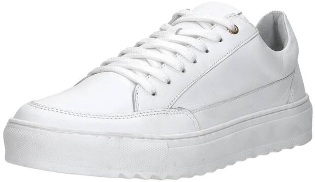 Sneakers Laag - large