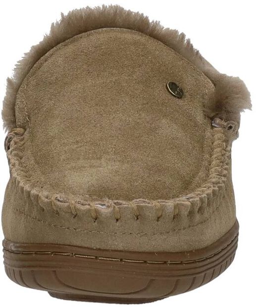 Grizzly - large