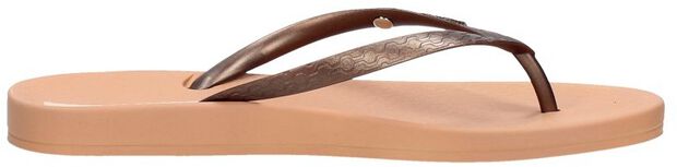 Anatomic Brasilidade - large