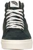 SK8-Hi - small