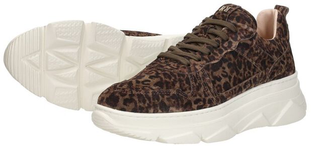 Sneakers Laag - large