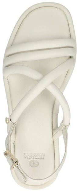 FRS1427 - large