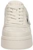 Miram7 - small