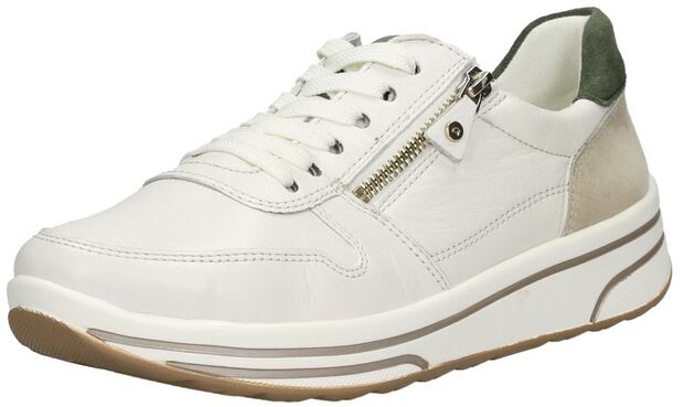 Sapporo-S 2.0 - large