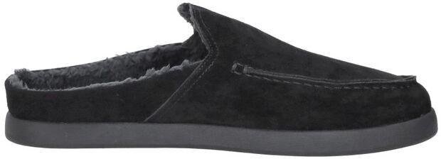 Alonso Mule - large