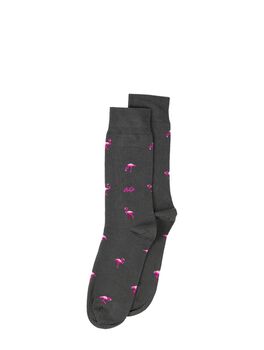 Flamingos