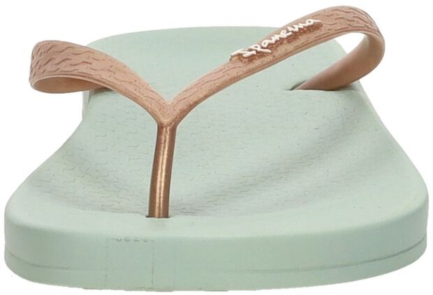 Anatomic Tan - large