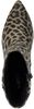 Sodar Regal - small