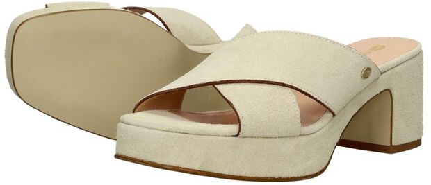 FRS1447 - large