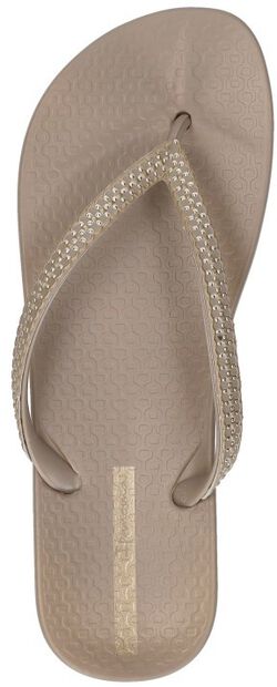 Anatomic Mesh - large