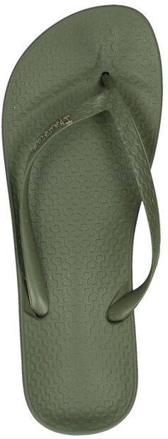 Anatomic Tan Colors - large