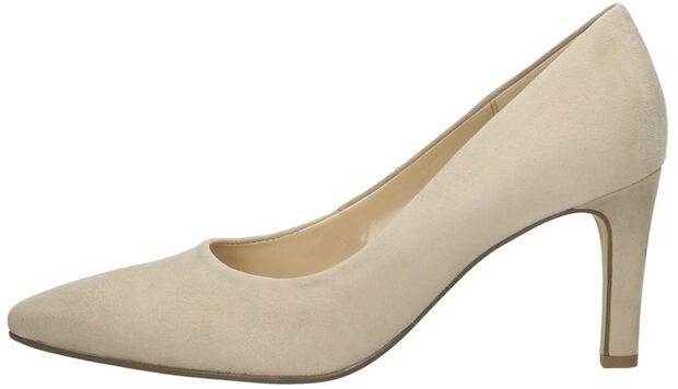 Pumps - large