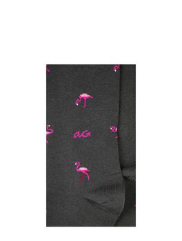 Flamingos