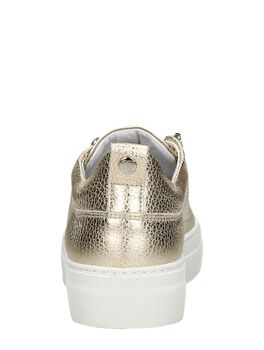 Women Low Cut Sneaker