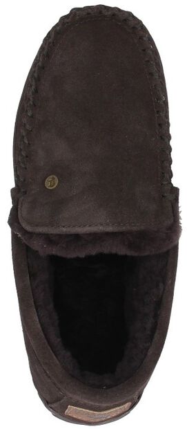 Grizzly - large