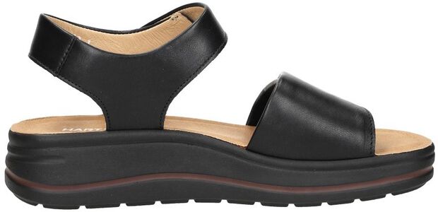 Woogie Natural - large