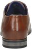 Mattia Eco - small