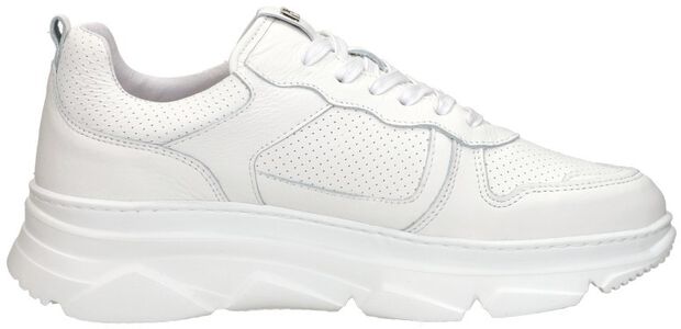 Sneakers Laag - large