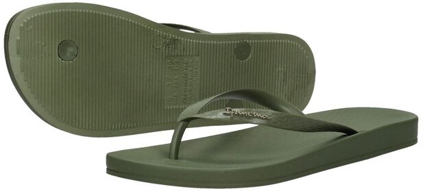 Anatomic Tan Colors - large