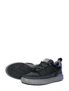 Courtlite Go