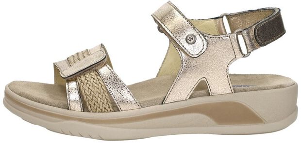 Fantom Elite - large