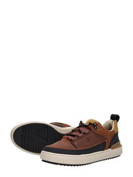 Courtlite Go