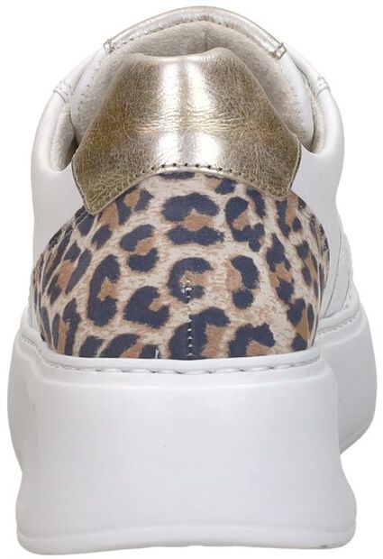 Sneakers Laag - large
