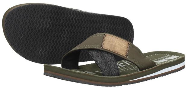 Haig - large