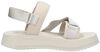Prefresato Sandal Badge - small