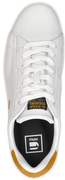 Cadet POP M - large