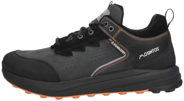 Veterschoenen Laag - large