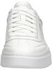 Cordova Classic - Best Behavior - small
