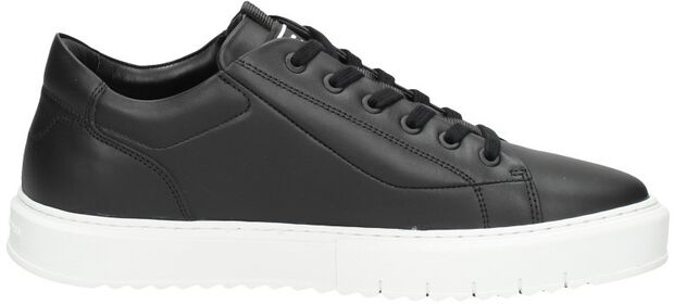 Rocup II LGO M - large