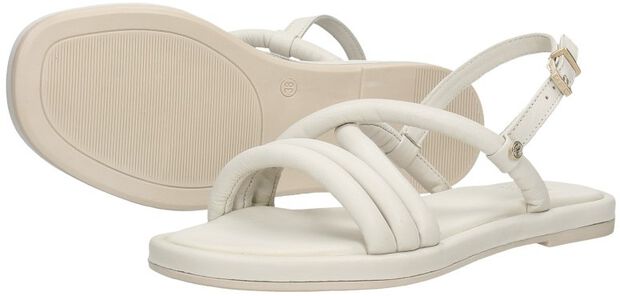 FRS1427 - large