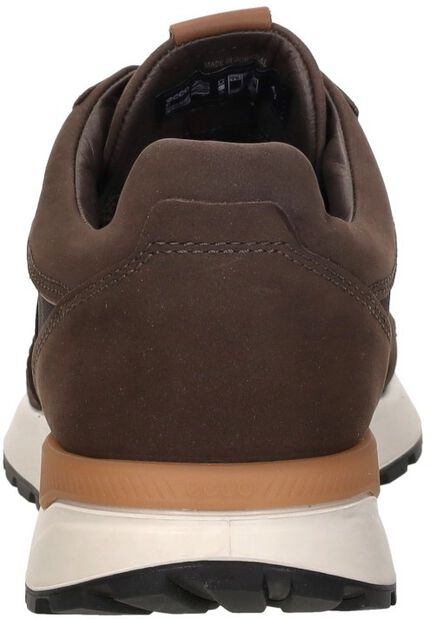 Astir Neo - large
