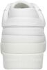 Feminine Elevated Sneaker - small