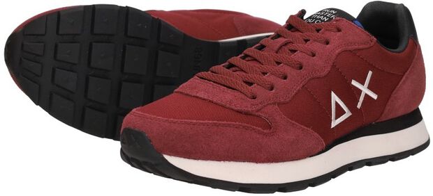 Tom Solid - large